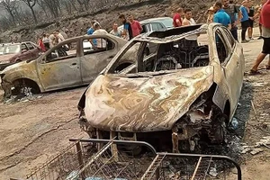 Dấu vết của đám cháy rừng tại huyện Toudja, gần Béjaïa, Algeria. (Ảnh: Getty Images)