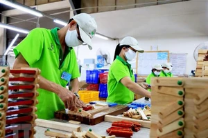 Lao động Thành phố Hồ Chí Minh quay lại làm việc sau Tết. (Ảnh: TTXVN)