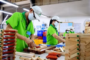 Lao động Thành phố Hồ Chí Minh quay lại làm việc sau Tết. (Ảnh: TTXVN)