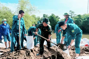 Lực lượng chức năng huyện Thanh Trì khẩn trương khắc phục sự cố. 