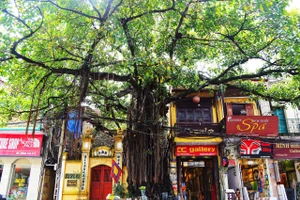 Phố Hàng Gai. Ảnh | Khiếu Minh