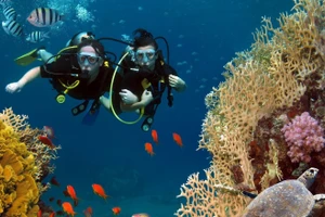 Vừa dọn sạch môi trường biển vừa được lặn biển Côn Đảo. Nguồn: condao.com.vn