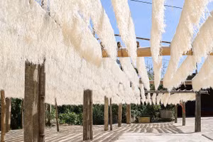 Miến Loan Hảo: Thức quà nhỏ nơi rẻo đất miền trung