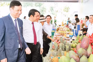 Ông Đinh Cao Khuê (bìa trái) dự khai trương nhà máy chế biến rau quả tại Sơn La. 