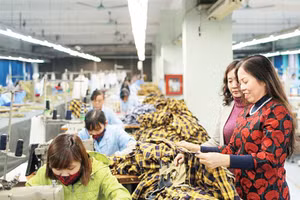 Nữ doanh nhân Ninh Thị Ty, Chủ tịch HĐQT Tập đoàn Hồ Gươm (người đứng đầu tiên bên phải) được mệnh danh là "nữ tướng của ngành may" với hai lần vực dậy các công ty may trên bờ vực phá sản. 