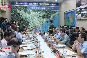 Chủ động ứng phó bão số 2