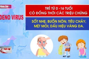 Không hoang mang vì bệnh Adeno virus