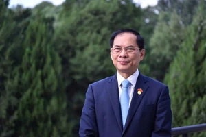 Bộ trưởng Bùi Thanh Sơn. (Ảnh: Bộ Ngoại giao)