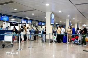 Ảnh minh họa. (Nguồn: TTXVN)