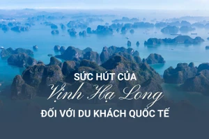 Sức hút của Vịnh Hạ Long đối với du khách quốc tế