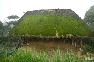 Những mái nhà phủ rêu ở thôn Khuổi Mỹ, xã Phương Độ, thành phố Hà Giang. (Ảnh: VŨ LINH) 