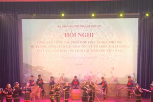 Văn nghệ chào mừng hội nghị. 