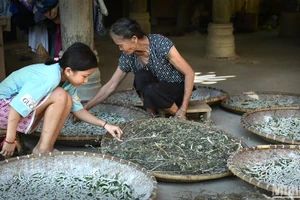 Nghề nuôi tằm ở bản Hoa Tiến, xã Châu Tiến, huyện Quỳ Châu, tỉnh Nghệ An. (Ảnh: VŨ LINH)