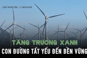 Tăng trưởng xanh - Con đường tất yếu đến bền vững