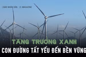 Tăng trưởng xanh - Con đường tất yếu đến bền vững