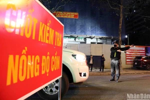 Trong năm 2022, đã có hơn 300 nghìn trường hợp vi phạm nồng độ cồn bị phát hiện và xử lý.