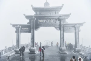 [Ảnh] Chiêm ngưỡng cảnh tuyết phủ trắng trên đỉnh Fansipan