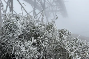 Tuyết bất ngờ rơi trên nóc nhà Đông Dương chiều 27 Tết