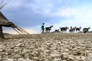 Sự cạn kiệt của nguồn nước và câu hỏi quản trị toàn cầu 