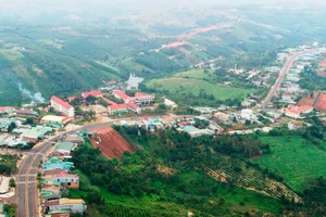 Thị trấn Đức An là địa phương có nhiều vi phạm nhất huyện Đắk Song với 425 trường hợp.