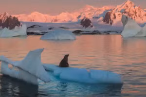 Ngày Nước Thế giới năm 2025 tập trung vào chủ đề "Bảo tồn các dòng sông băng". Ảnh: Un-glaciers.org