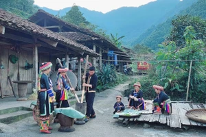 Đồng bào dân tộc Dao ở xã Yến Dương, huyện Ba Bể, tỉnh Bắc Kạn làm cốm. (Ảnh: MA NINH)