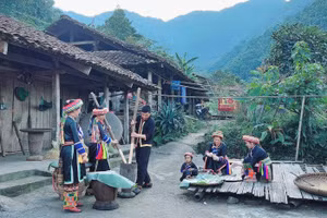 Đồng bào dân tộc Dao ở xã Yến Dương, huyện Ba Bể, tỉnh Bắc Kạn làm cốm. (Ảnh: MA NINH)