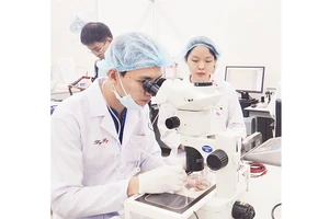 Hoạt động nghiên cứu khoa học tại Đại học Quốc gia Thành phố Hồ Chí Minh.