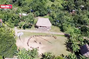 Bảo tàng của già làng Cơ Tu