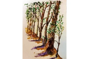 Minh họa: VIỆT ANH