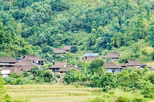 Những ngôi nhà sàn cổ của người Tày ở Bản Vèn, xã Kim Hỷ, huyện Na Rì, tỉnh Bắc Kạn.