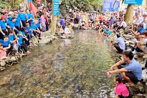 Suối cá Cẩm Lương, huyện Cẩm Thủy (Thanh Hóa) là điểm hấp dẫn khách du lịch.