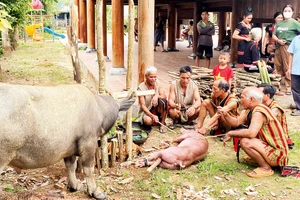 Thầy cúng và già làng tiến hành nghi thức cúng.