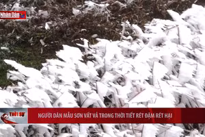 Người dân Mẫu Sơn vất vả trong thời tiết rét đậm rét hại