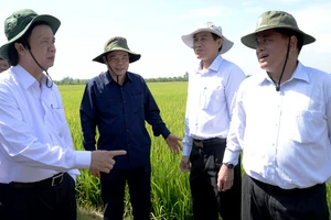 Ðồng chí Nguyễn Văn Danh (ngoài cùng bên trái) trong một chuyến kiểm tra tình hình hạn, mặn tại Tiền Giang.
