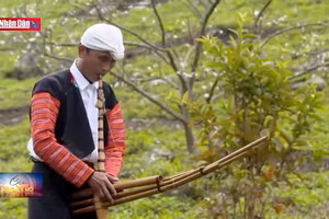 Về Mộc Châu nghe tiếng khèn gọi Xuân