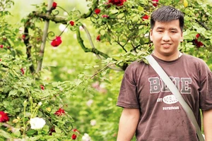 Dùng TikTok đưa hoa hồng Mê Linh đi muôn phương