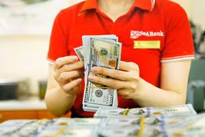 Giá USD đã có những phiên tăng mạnh trong những ngày qua.