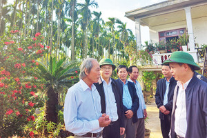 Triệu Phong tự hào huyện nông thôn mới