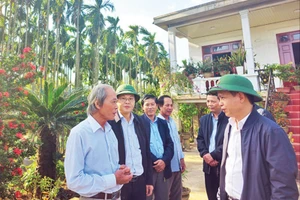 Bí thư Huyện ủy Triệu Phong Trần Xuân Anh (bên phải) cùng lãnh đạo huyện thăm khu vườn mẫu của ông Đào Xá (bên trái) ở thôn Bích Khê, xã Triệu Long.
