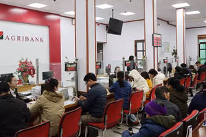 Khách hàng giao dịch tại chi nhánh ngân hàng Agribank.