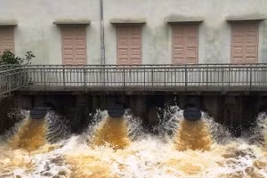 Các doanh nghiệp khai thác công trình thủy lợi ở Thanh Hóa đang vận hành các trạm bơm tiêu thoát nước, bảo vệ cây trồng, khu dân cư.