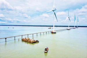 Các trang trại điện gió và điện mặt trời sẽ là nguồn cung cấp năng lượng dồi dào để sản xuất hydro xanh. Ảnh: Ngọc Hương 