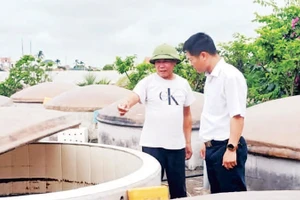 Nghề làm nước mắm ở xã Nam Cường, huyện Tiền Hải, tỉnh Thái Bình.