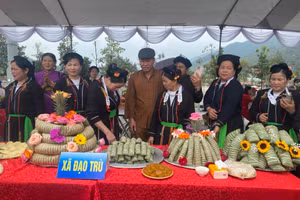 Bánh chưng gù, sản phẩm đặc trưng của người dân tộc Sán Dìu tại xã Đạo Trù, huyện Tam Đảo.