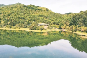 Không gian xanh tại Khu du lịch Làng Nhỏ-Hồ Láng Nhớt, một trong những đơn vị đi đầu trong thực hành du lịch Net Zero tại Việt Nam. 