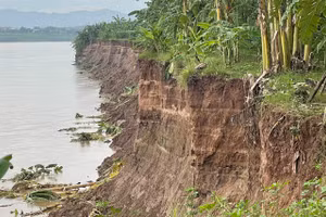 Điểm sạt lở ngày càng lớn cuốn trôi nhiều diện tích hoa màu đe dọa cuộc sống của người dân xã Bản Nguyên.
