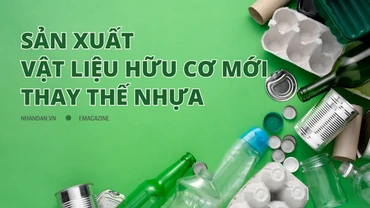 Sản xuất vật liệu hữu cơ mới thay thế nhựa