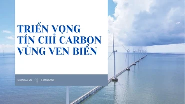 Triển vọng tín chỉ carbon vùng ven biển