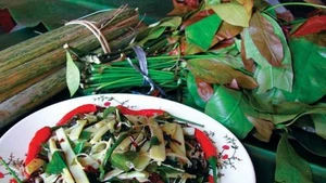 Ngon... toát mồ hôi